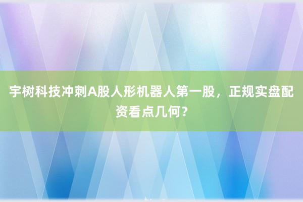 宇树科技冲刺A股人形机器人第一股，正规实盘配资看点几何？