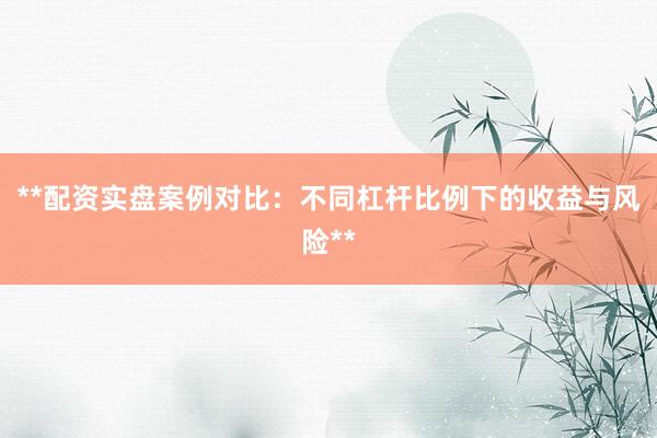 **配资实盘案例对比：不同杠杆比例下的收益与风险**