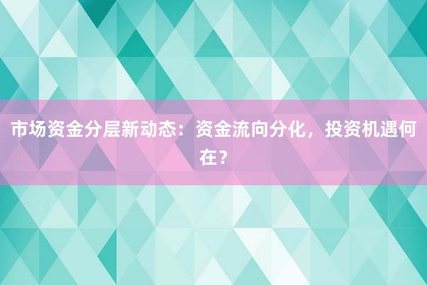 市场资金分层新动态：资金流向分化，投资机遇何在？