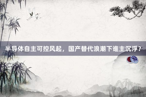 半导体自主可控风起，国产替代浪潮下谁主沉浮？