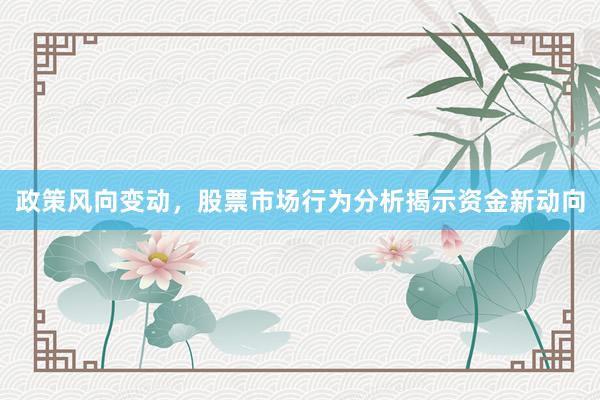 政策风向变动，股票市场行为分析揭示资金新动向