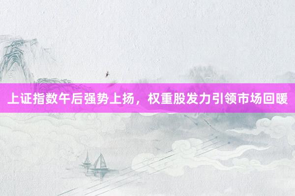 上证指数午后强势上扬，权重股发力引领市场回暖