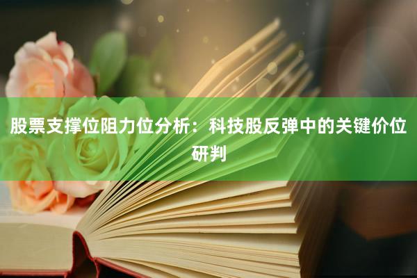 股票支撑位阻力位分析：科技股反弹中的关键价位研判