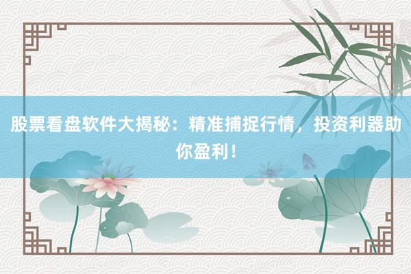 股票看盘软件大揭秘：精准捕捉行情，投资利器助你盈利！