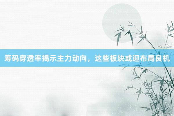 筹码穿透率揭示主力动向，这些板块或迎布局良机