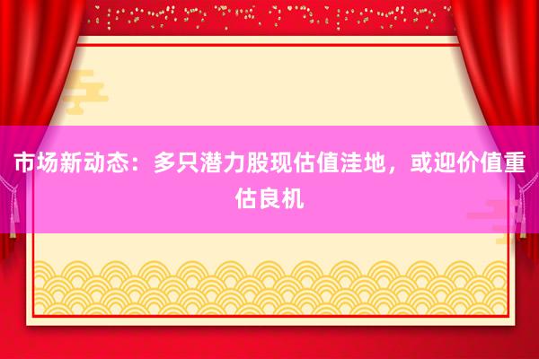 市场新动态：多只潜力股现估值洼地，或迎价值重估良机