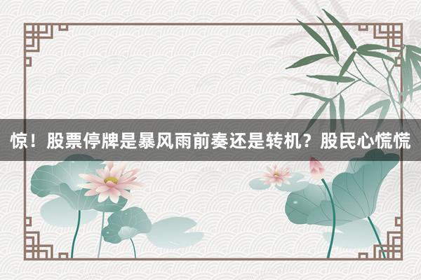 惊！股票停牌是暴风雨前奏还是转机？股民心慌慌