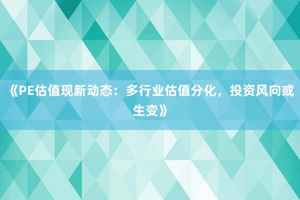 《PE估值现新动态：多行业估值分化，投资风向或生变》
