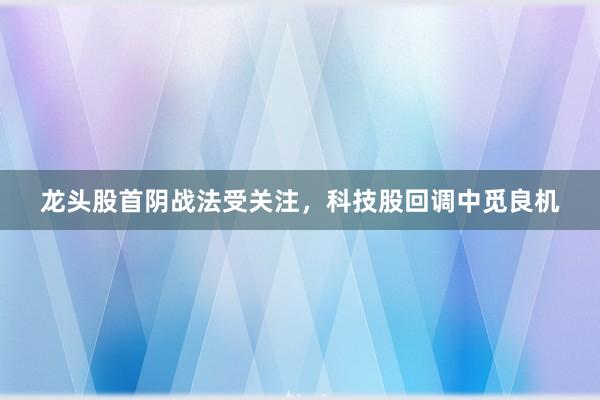 龙头股首阴战法受关注，科技股回调中觅良机