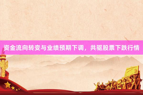 资金流向转变与业绩预期下调，共驱股票下跌行情