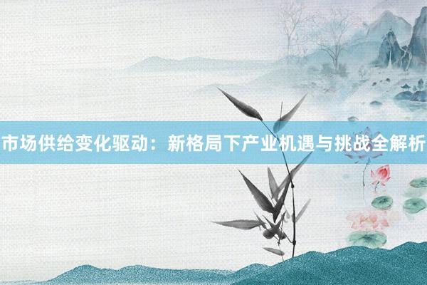 市场供给变化驱动：新格局下产业机遇与挑战全解析