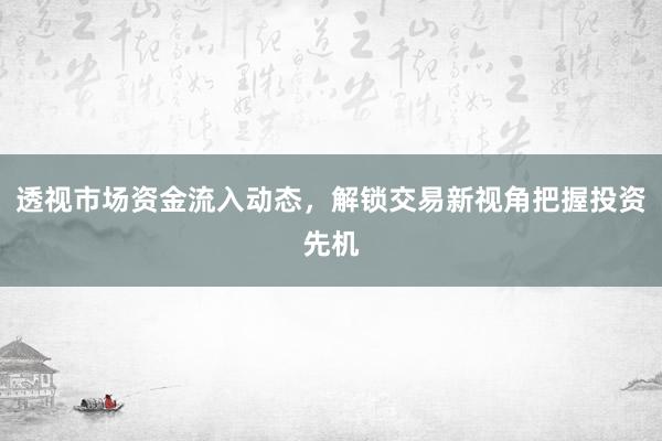 透视市场资金流入动态，解锁交易新视角把握投资先机