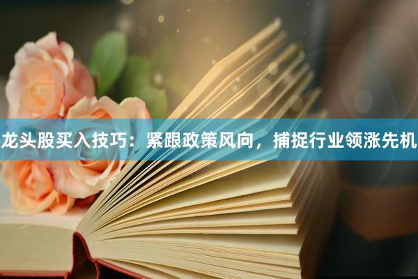 龙头股买入技巧：紧跟政策风向，捕捉行业领涨先机