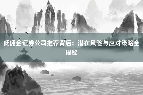 低佣金证券公司推荐背后：潜在风险与应对策略全揭秘