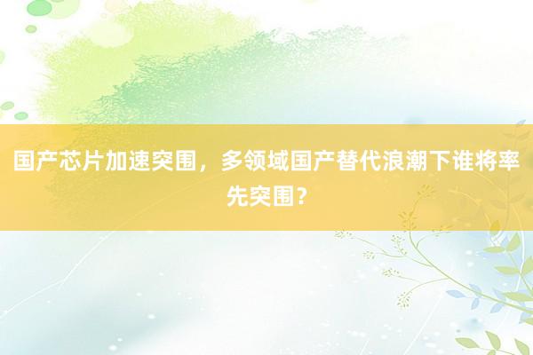 国产芯片加速突围，多领域国产替代浪潮下谁将率先突围？