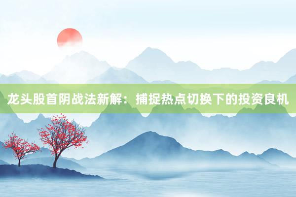 龙头股首阴战法新解：捕捉热点切换下的投资良机