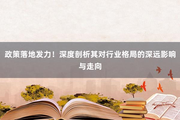 政策落地发力！深度剖析其对行业格局的深远影响与走向