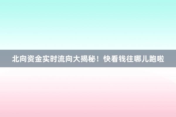 北向资金实时流向大揭秘！快看钱往哪儿跑啦