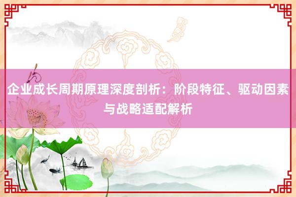企业成长周期原理深度剖析：阶段特征、驱动因素与战略适配解析